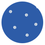 Microfloral in Azure & White Sand